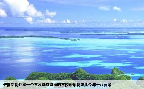 谁能给我介绍一个学习酒店管理的学校帮帮我吧我今年十八高考