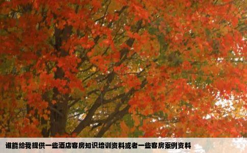 谁能给我提供一些酒店客房知识培训资料或者一些客房案例资料