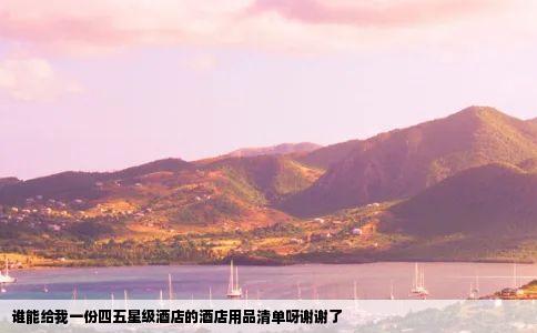 谁能给我一份四五星级酒店的酒店用品清单呀谢谢了