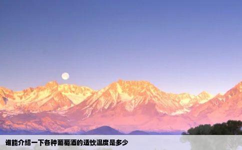 谁能介绍一下各种葡萄酒的适饮温度是多少