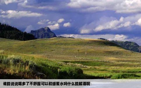 谁能说说喝多了不舒服可以和蜂蜜水吗什么能解酒啊