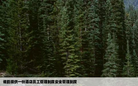 谁能提供一份酒店员工管理制度安全管理制度