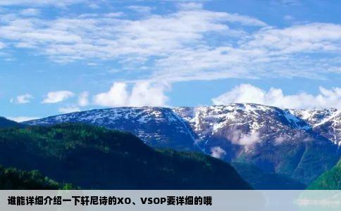 谁能详细介绍一下轩尼诗的XO、VSOP要详细的哦