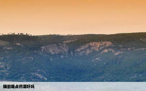 睡前喝点药酒好吗