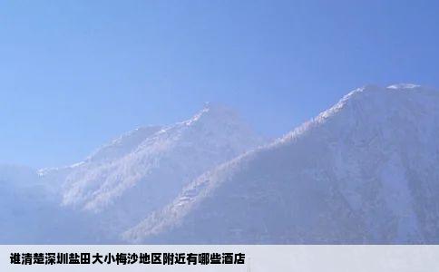 谁清楚深圳盐田大小梅沙地区附近有哪些酒店