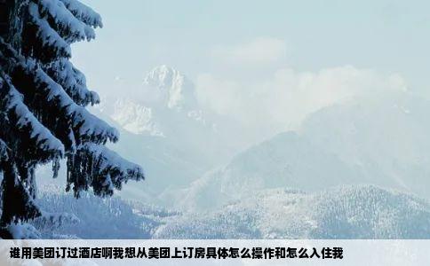 谁用美团订过酒店啊我想从美团上订房具体怎么操作和怎么入住我
