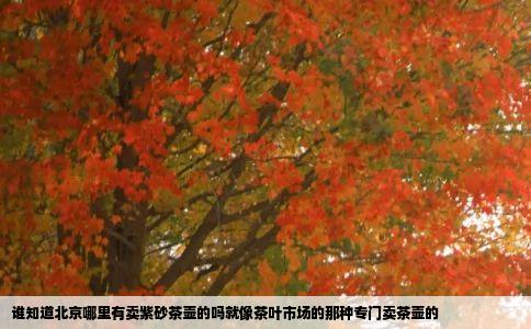 谁知道北京哪里有卖紫砂茶壶的吗就像茶叶市场的那种专门卖茶壶的