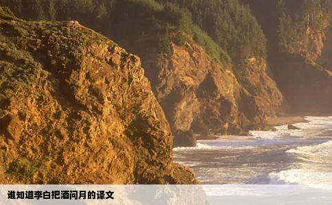 谁知道李白把酒问月的译文