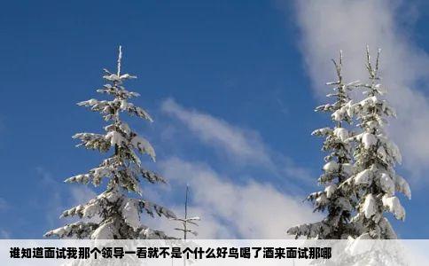 谁知道面试我那个领导一看就不是个什么好鸟喝了酒来面试那哪