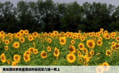 谁知道如家快捷酒店的标间是几钱一晚上