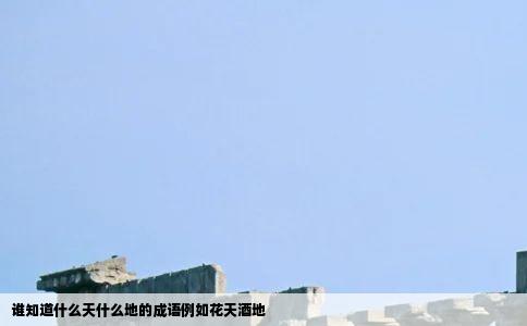 谁知道什么天什么地的成语例如花天酒地