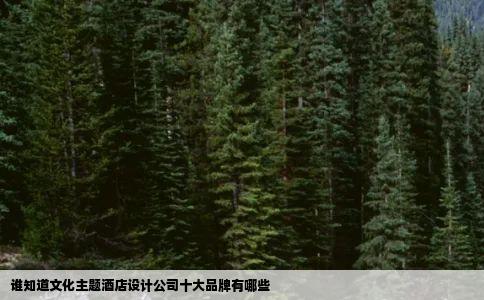 谁知道文化主题酒店设计公司十大品牌有哪些