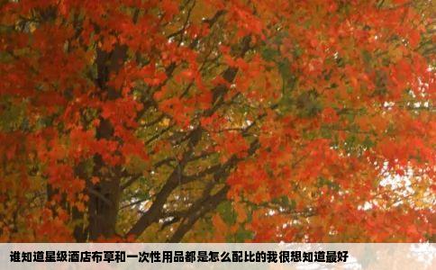 谁知道星级酒店布草和一次性用品都是怎么配比的我很想知道最好