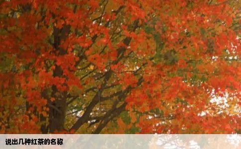 说出几种红茶的名称