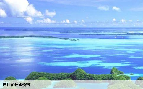 四川泸州酒价格