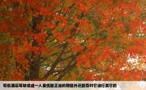 司机酒后驾驶造成一人重伤除正当的赔偿外还能否对它进行其它的
