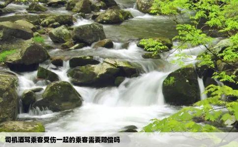 司机酒驾乘客受伤一起的乘客需要赔偿吗