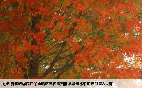 ①四氯化碳②汽油③酒精这三种溶剂能萃取碘水中的碘的是A只有