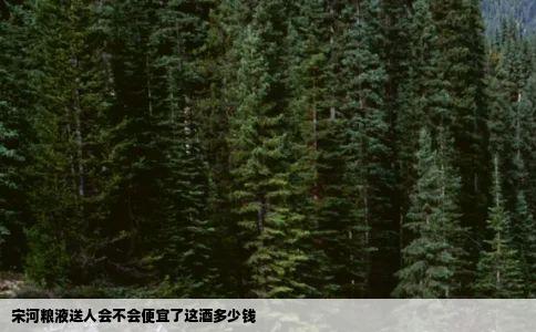宋河粮液送人会不会便宜了这酒多少钱