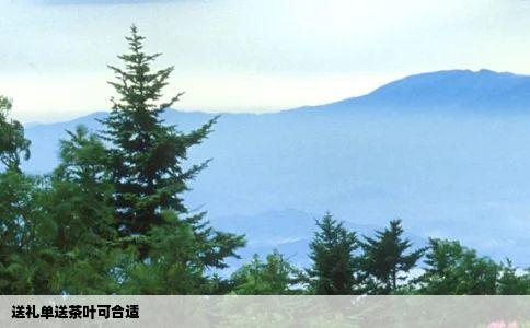 送礼单送茶叶可合适