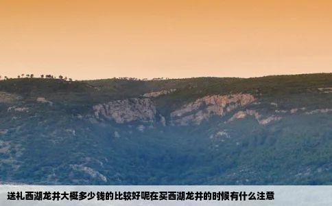 送礼西湖龙井大概多少钱的比较好呢在买西湖龙井的时候有什么注意