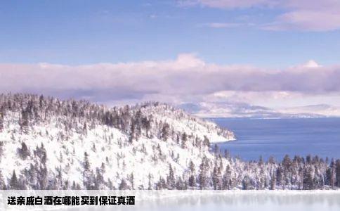 送亲戚白酒在哪能买到保证真酒