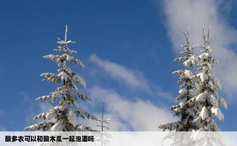 酸多衣可以和酸木瓜一起泡酒吗