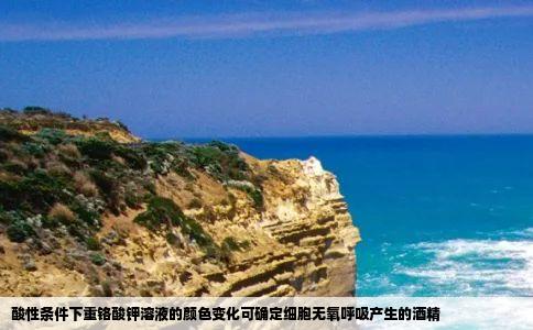 酸性条件下重铬酸钾溶液的颜色变化可确定细胞无氧呼吸产生的酒精