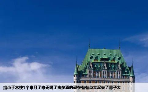 缩小手术快1个半月了昨天喝了蛮多酒的现在有有点大起来了鼻子大