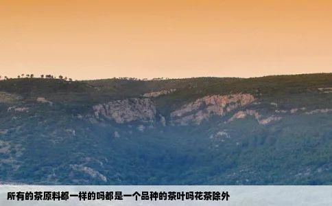 所有的茶原料都一样的吗都是一个品种的茶叶吗花茶除外