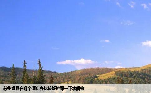 苏州婚宴在哪个酒店办比较好推荐一下求解答