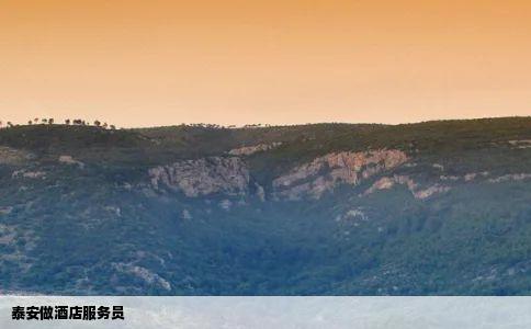 泰安做酒店服务员