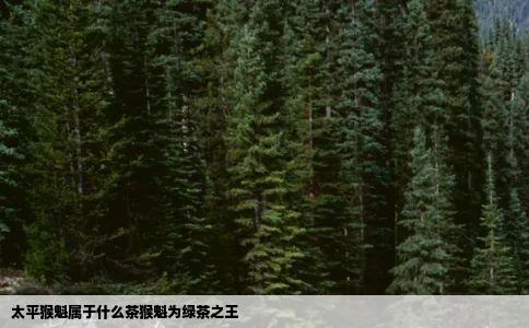 太平猴魁属于什么茶猴魁为绿茶之王