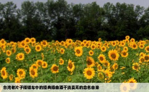 台湾老片子搭错车中的经典插曲酒干淌卖无的命名由来