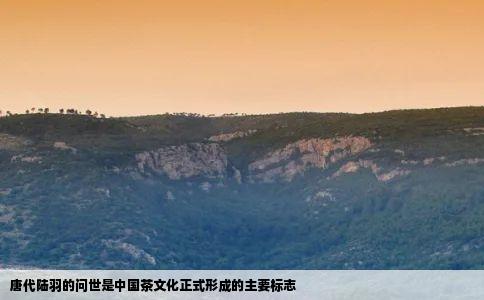 唐代陆羽的问世是中国茶文化正式形成的主要标志