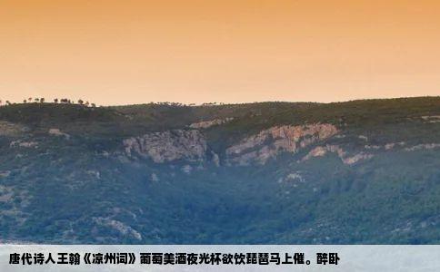 唐代诗人王翰《凉州词》葡萄美酒夜光杯欲饮琵琶马上催。醉卧