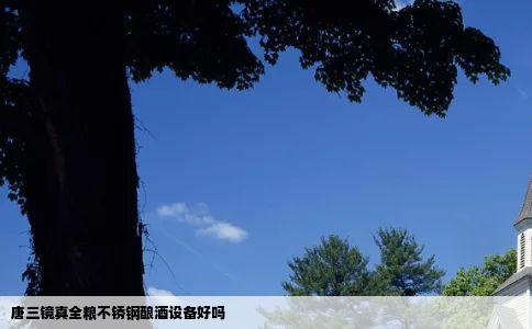 唐三镜真全粮不锈钢酿酒设备好吗