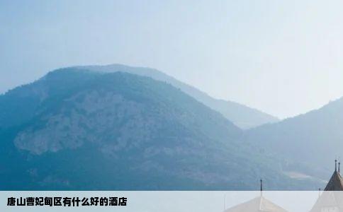 唐山曹妃甸区有什么好的酒店