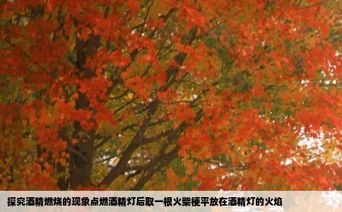 探究酒精燃烧的现象点燃酒精灯后取一根火柴梗平放在酒精灯的火焰