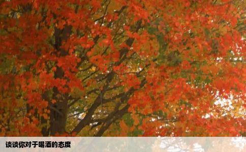 谈谈你对于喝酒的态度
