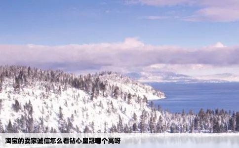 淘宝的卖家诚信怎么看钻心皇冠哪个高呀