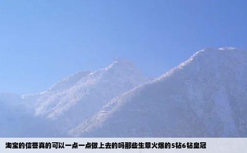 淘宝的信誉真的可以一点一点做上去的吗那些生意火爆的5钻6钻皇冠