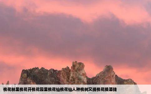 桃花林里桃花开桃花园里桃花仙桃花仙人种桃树又摘桃花换酒钱