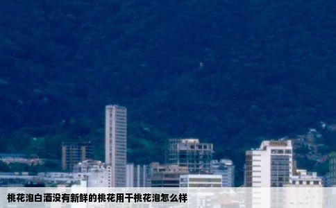 桃花泡白酒没有新鲜的桃花用干桃花泡怎么样