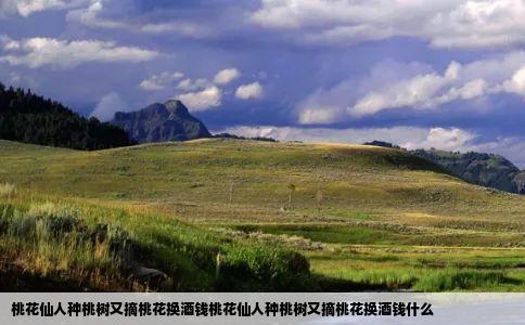 桃花仙人种桃树又摘桃花换酒钱桃花仙人种桃树又摘桃花换酒钱什么