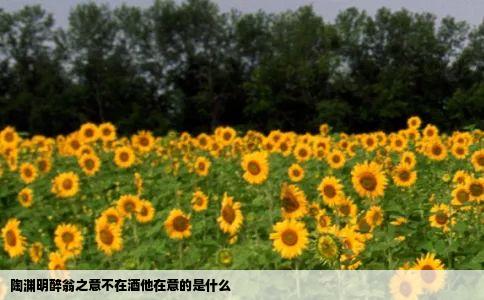 陶渊明醉翁之意不在酒他在意的是什么