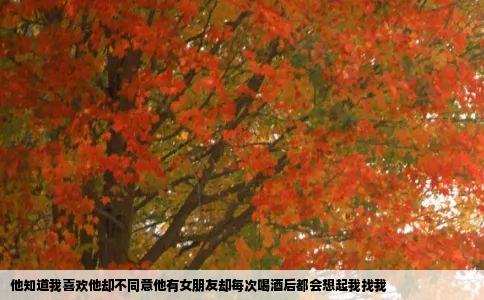 他知道我喜欢他却不同意他有女朋友却每次喝酒后都会想起我找我