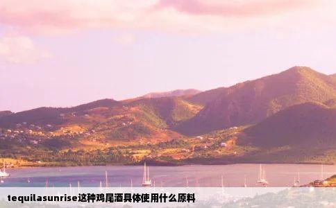 tequilasunrise这种鸡尾酒具体使用什么原料