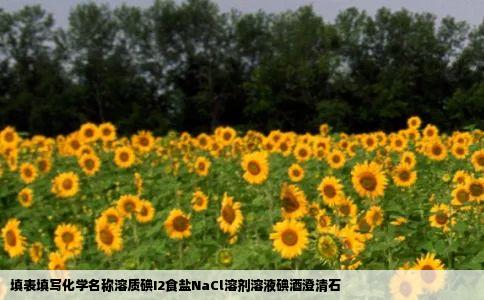 填表填写化学名称溶质碘I2食盐NaCl溶剂溶液碘酒澄清石