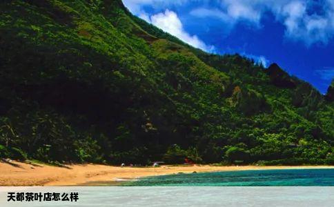 天都茶叶店怎么样
